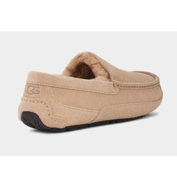 UGG Ascot Men's Slipper - Picture 4 of 5